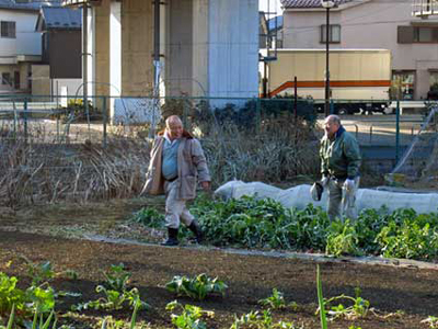 ハローワークで知り合ったオヤジ2人は自殺しようとしたオヤジを助けて一緒になぜか畑仕事をすることになる。三鷹の畑にて不破さん、柴田さん。